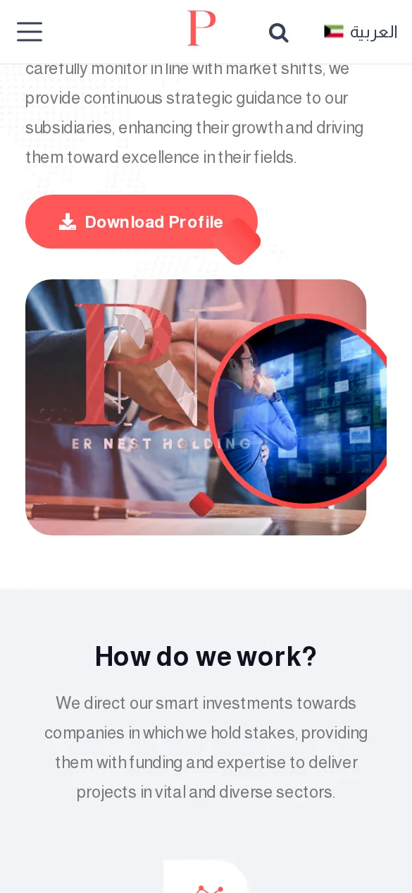 PowerNest Holding Website Design - responsive mobile view